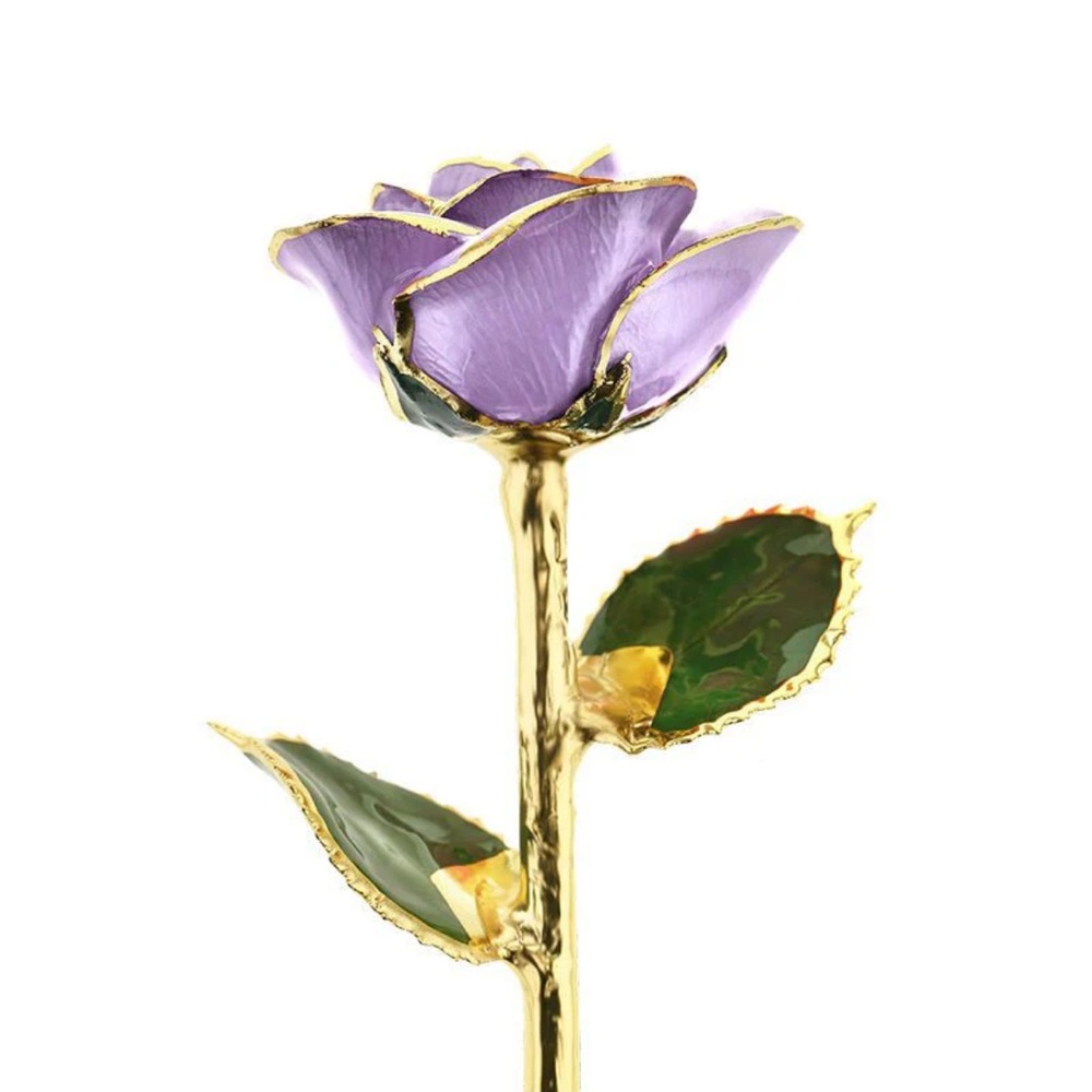 I Hate Steven Singer “Sweet Love” 24 karat gold hand dipped real rose